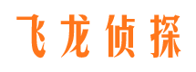 武宁侦探公司